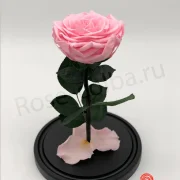 Магазин роз в колбе Rose-colba.ru фото 4 на сайте Марьинароща.рф