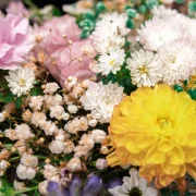 Салон цветов Муосотис фото 15 на сайте Марьинароща.рф